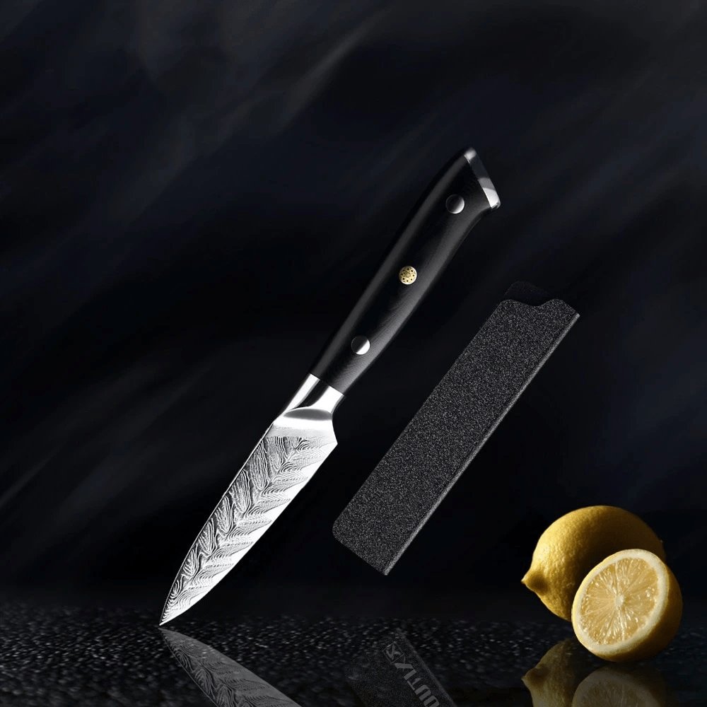 Riku (リク) Damaskus VG10 kniv