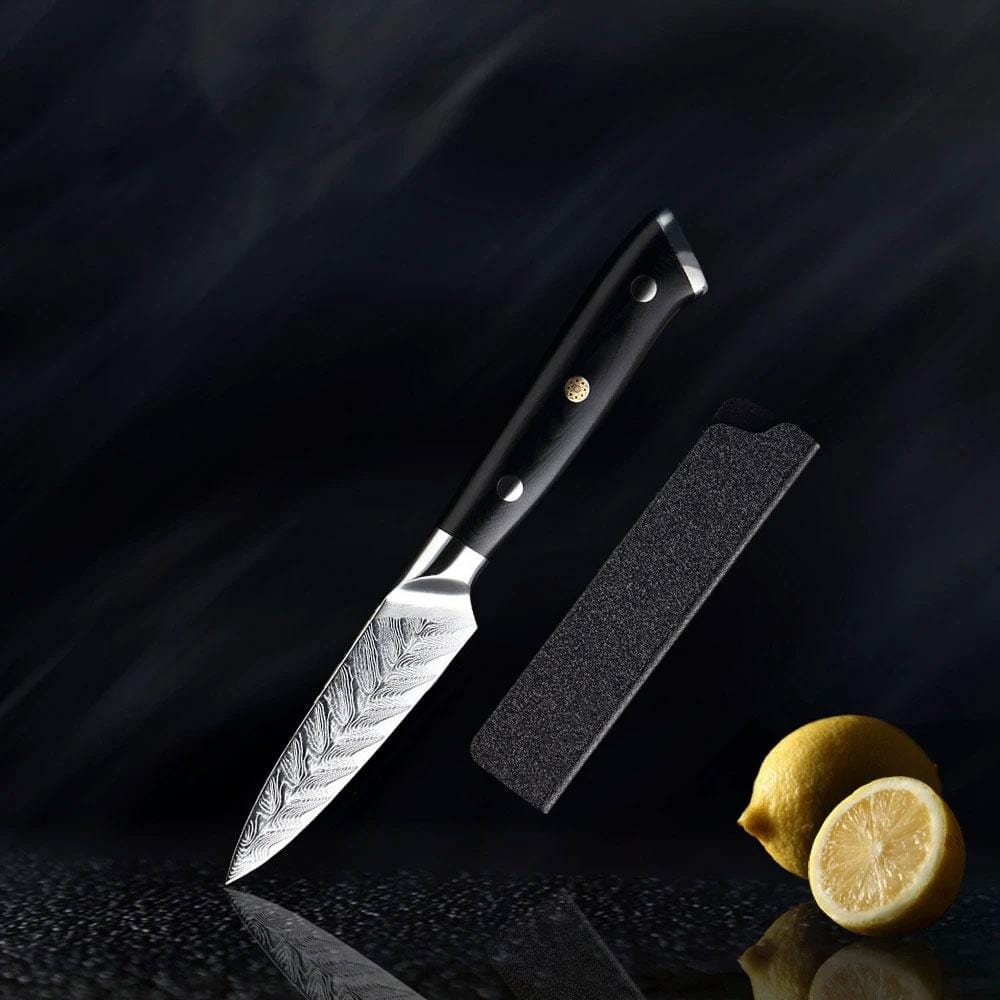 Riku (リク) Damaskus VG10 kniv