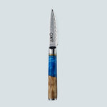 Aiko Blue Damascus stalen mes met gekleurd blauw harshandvat